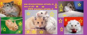 dess-pre-livku.png